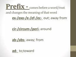 ppt prefix comes before a word root
