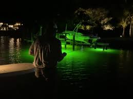 sight fishing for snook reds remains