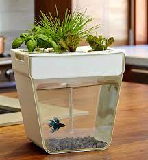 Selecting a fish tank for your home decorating you want to find a functional and energy saving aquarium in a pleasing form. If It S Hip It S Here The Latest In Global Design And Creativity