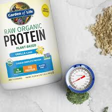 Raw Organic Protein Powder Vanilla