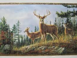 Deer Buck Doe In The Woods Hunting
