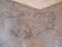 professional carpet cleaning experts