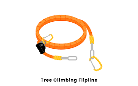 tree climbing equipment list