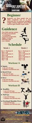 beginner workout routines visual ly