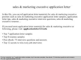 Sales Marketing Executive Application Letter