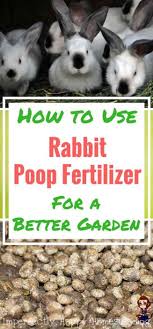 rabbit fertilizer 2 the