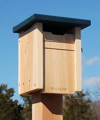 Woodlink Cedar Bluebird Or Swallow