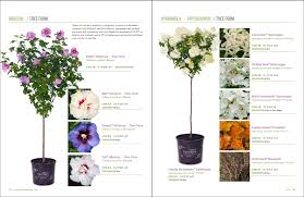 plant catalogs discover our selection