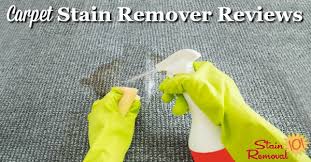 carpet stain remover reviews which