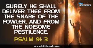 Psalm 91:3 KJV - Surely he shall deliver thee from the snare of the fowler,  and from the noisome pestilence.