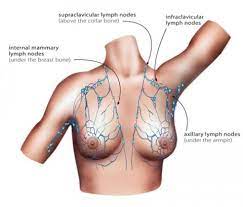 the lymphatic system cancer australia