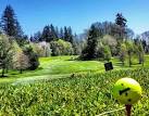 Mint Valley Golf Course - Reviews & Course Info | GolfNow
