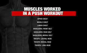 perfect push workout best push