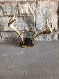 Real Deer Antlers Rustic Man Cave Decor