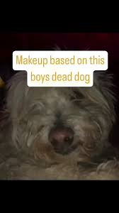 boys dead dog ifunny brazil