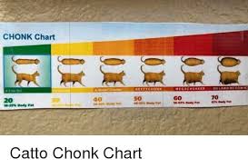 Chonk Chart Heftychonk Megachonker Oh Lawd Hecomin A Fine