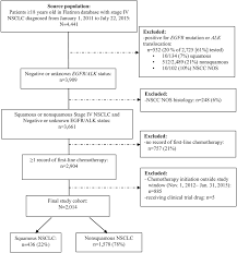 Patient Flow Chart Abbreviations Nsclc Non Small Cell