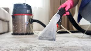 best carpet cleaners 2024 for you home