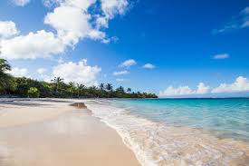 Pictures of puerto rico beaches. Best Beaches In Puerto Rico Islands