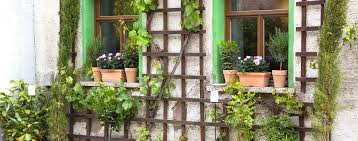 How Hard Is It To Attach Trellis To A Wall