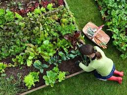small vegetable garden ideas how to