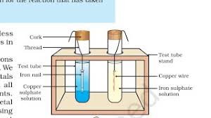 cl10 science chapter3 activity 3 12