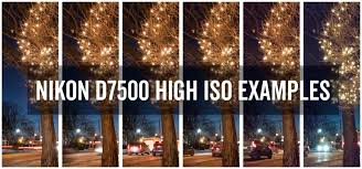 Nikon D7500 High Iso Photo Examples