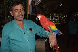 park for the parrots showcases birds in
