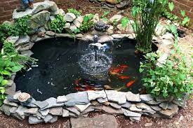 Diy Koi Fish Pond What Do I Need To