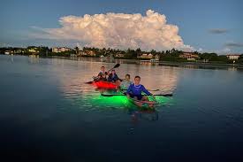 Hvilken virksomhed udbyder clear kayak guided tour i st. Shell Key Clear Kayak Glow In The Dark Tour Marriott