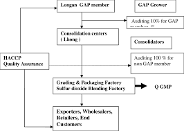 Flow Chart Of Plant Quality Assurance Source Auditing And