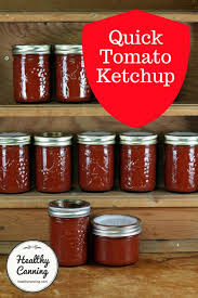quick tomato ketchup healthy canning