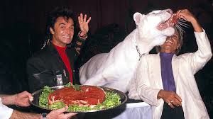 Due to their dependence on white tigers for their act, the duo started a tiger breeding program. Roy Horn Of Siegfried Roy Dies At 75 From Coronavirus Complications