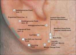 Topography And Indications Of Auricular Acupuncture Points