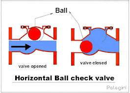 check valve vs backwater valve mt drains