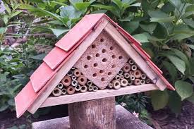 9 diy carpenter bee trap plans free