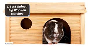 5 Best Guinea Pig Wooden Hutch You Ll