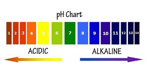Ph Chart 1 Kangen Water