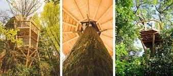 construire une cabane en bois perchée