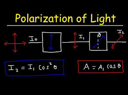 Polarization Of Light Problems Malus
