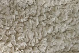 carpeting executive carpet beyond