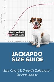 jackapoo size chart interactive