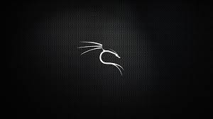 A set of dedicated kali linux* wallpapers which i'm going to update regularly. Kali Linux Wallpapers New Wallpapers
