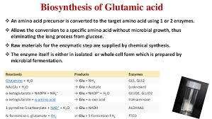 Industrial Production Of Chemical Acids Glutamic Acid
