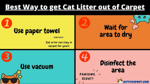 cat litter out of carpet