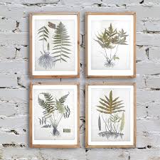 Wood Framed Botanical Wall Prints Set