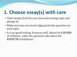 English A Lang   Lit  Guide to Writing a Paper   essay