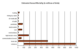 Causes Of Bird Mortality Sibley Guides