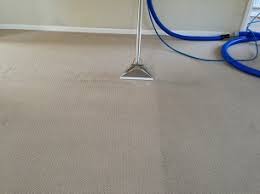 which award winning carpet cleaning