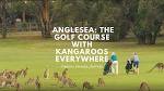 Anglesea Golf Club: The Golf Course With Kangaroos Everywhere ...